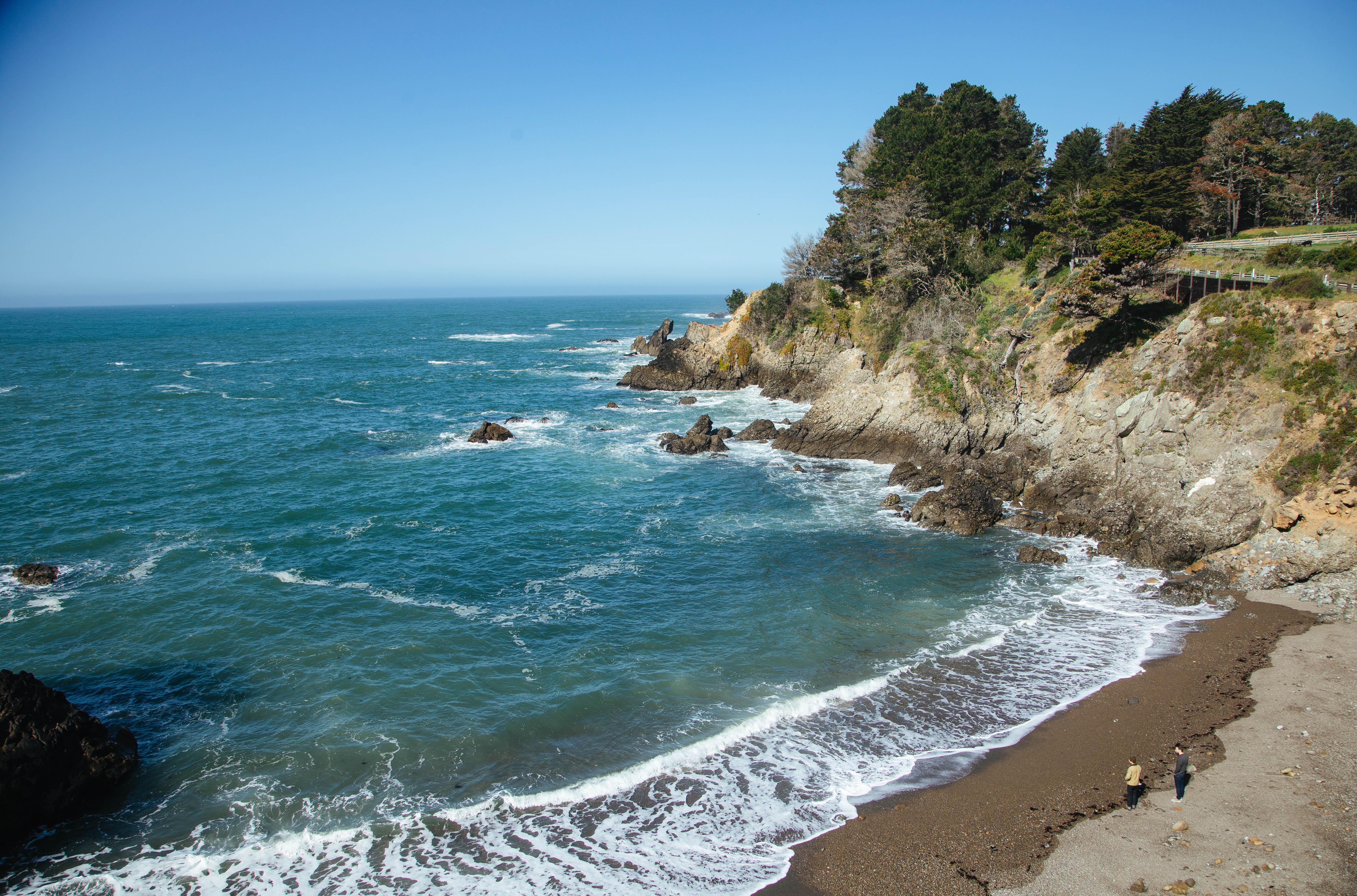 DNA helps identify woman found at base of Bay Area cliff nearly 60 years ago - Vimarsana News