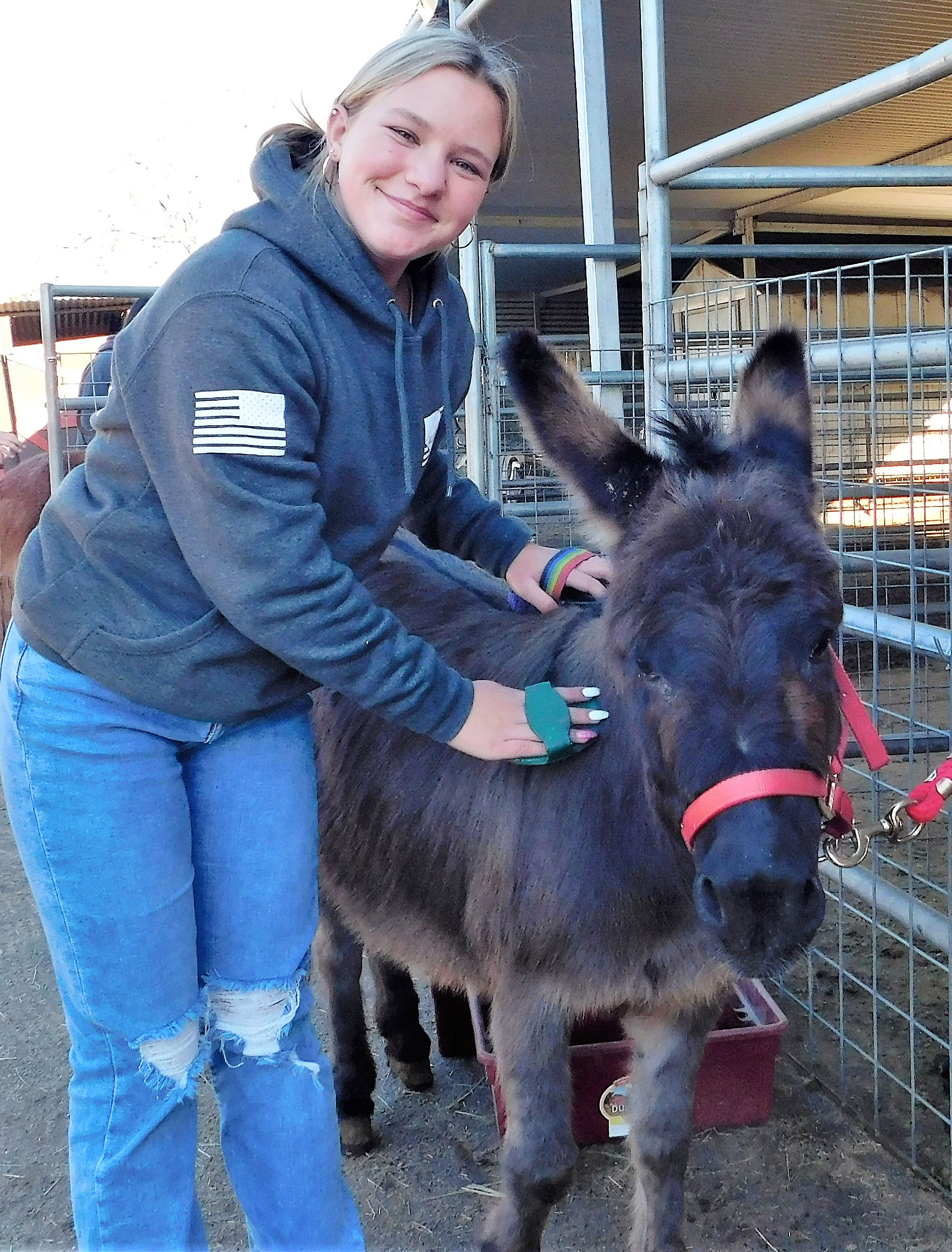Olive Peirce students get lesson in animal care and therapy at Hearts and Hooves ranch - Vimarsana News