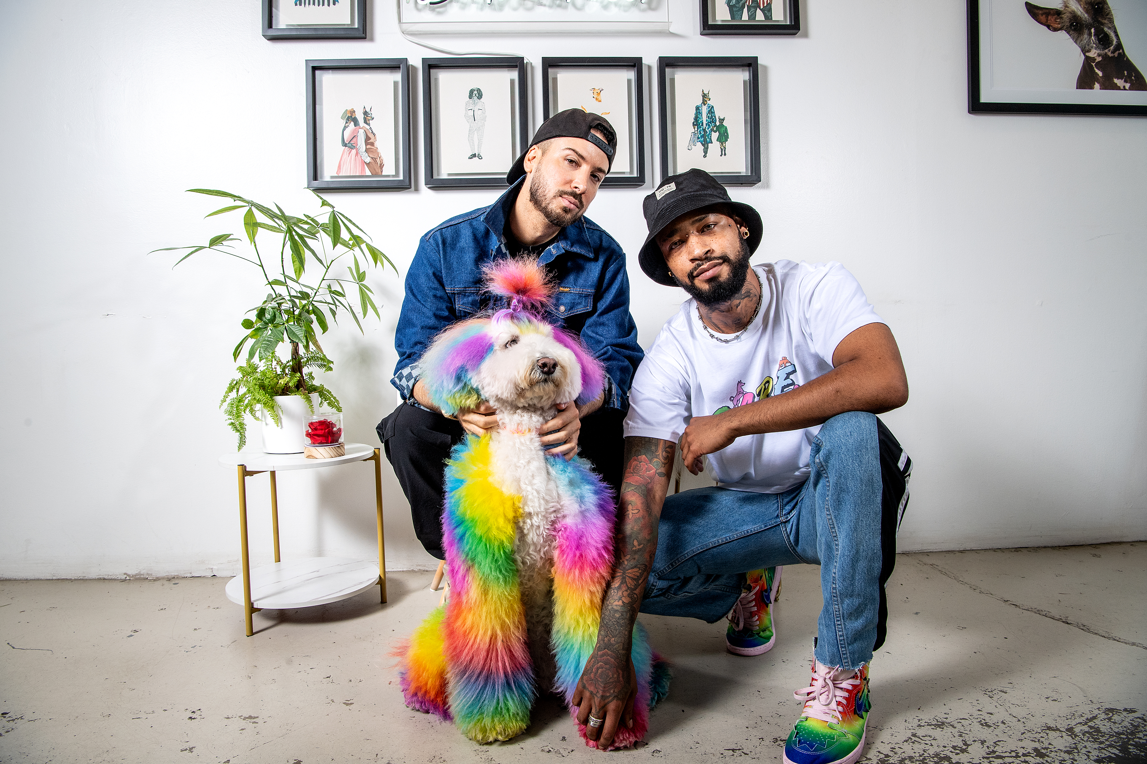 Cardi B and Awkwafina's L.A. dog groomer is turning heads - Vimarsana News