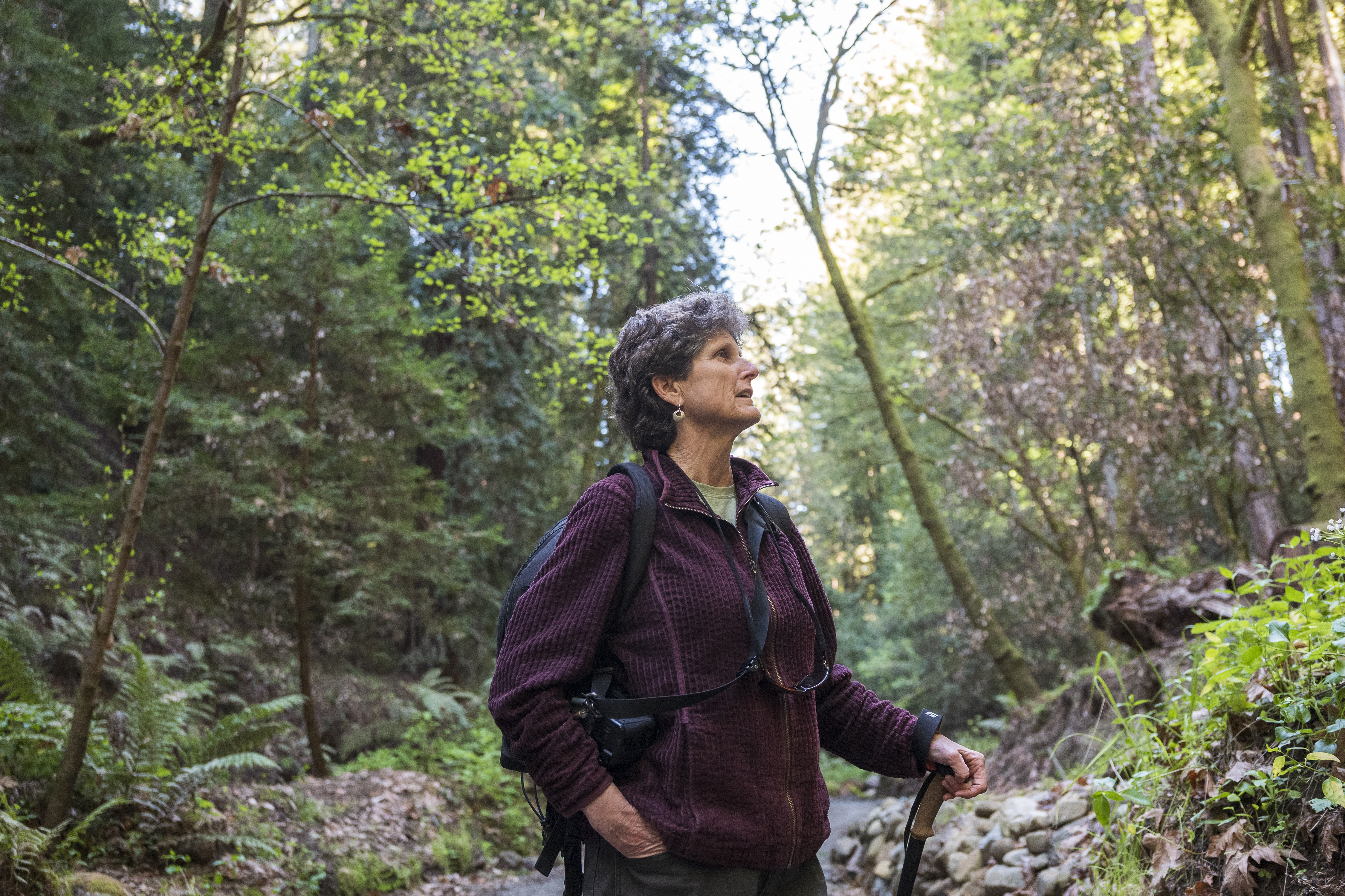 To overcome trauma, woman began walking all over Santa Cruz - Vimarsana News