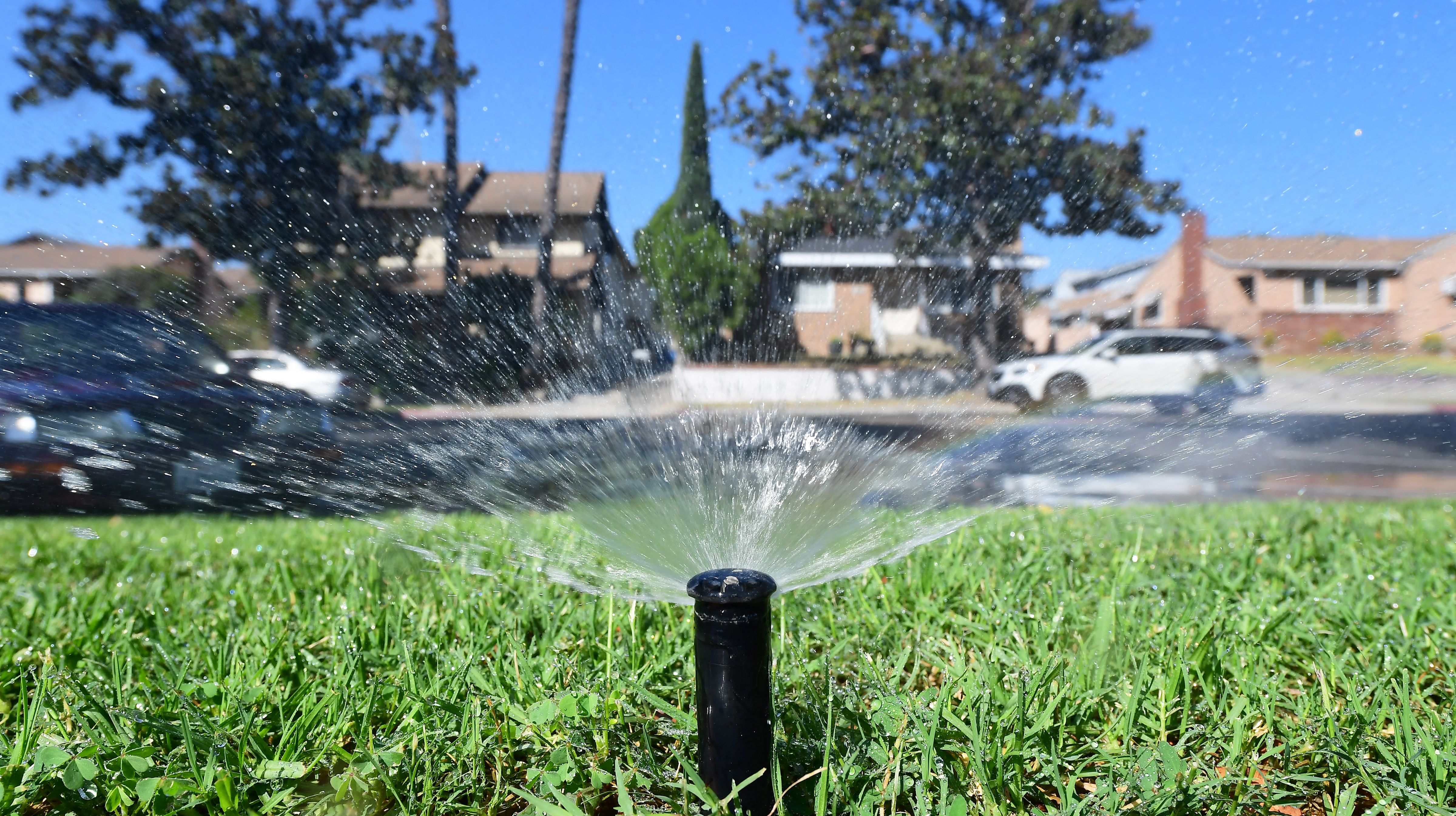 $500 fines proposed for water wasters amid deepening drought - Vimarsana News