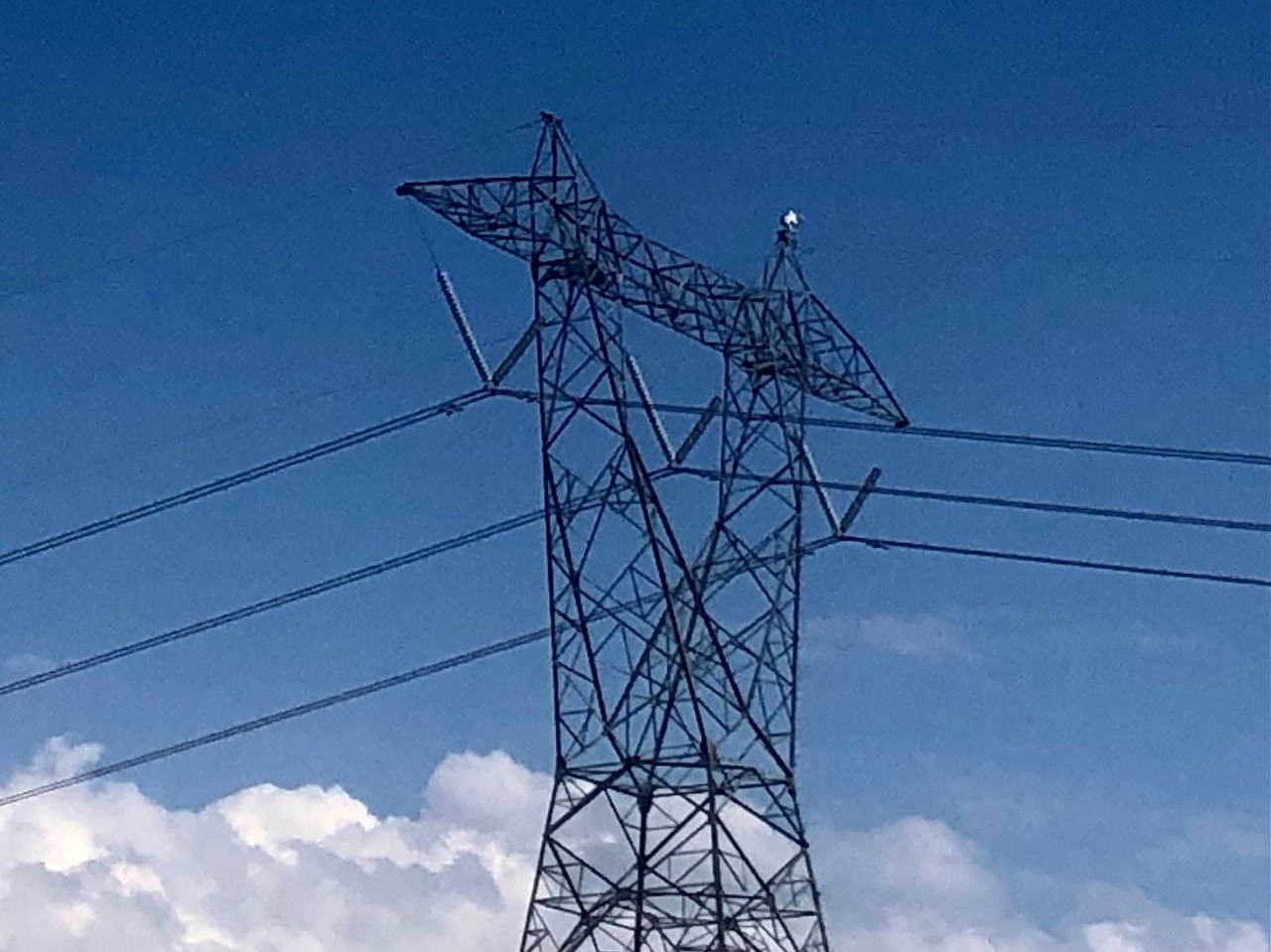 Many San Diego utility customers are behind on bills. What's that mean for community energy programs? - Vimarsana News