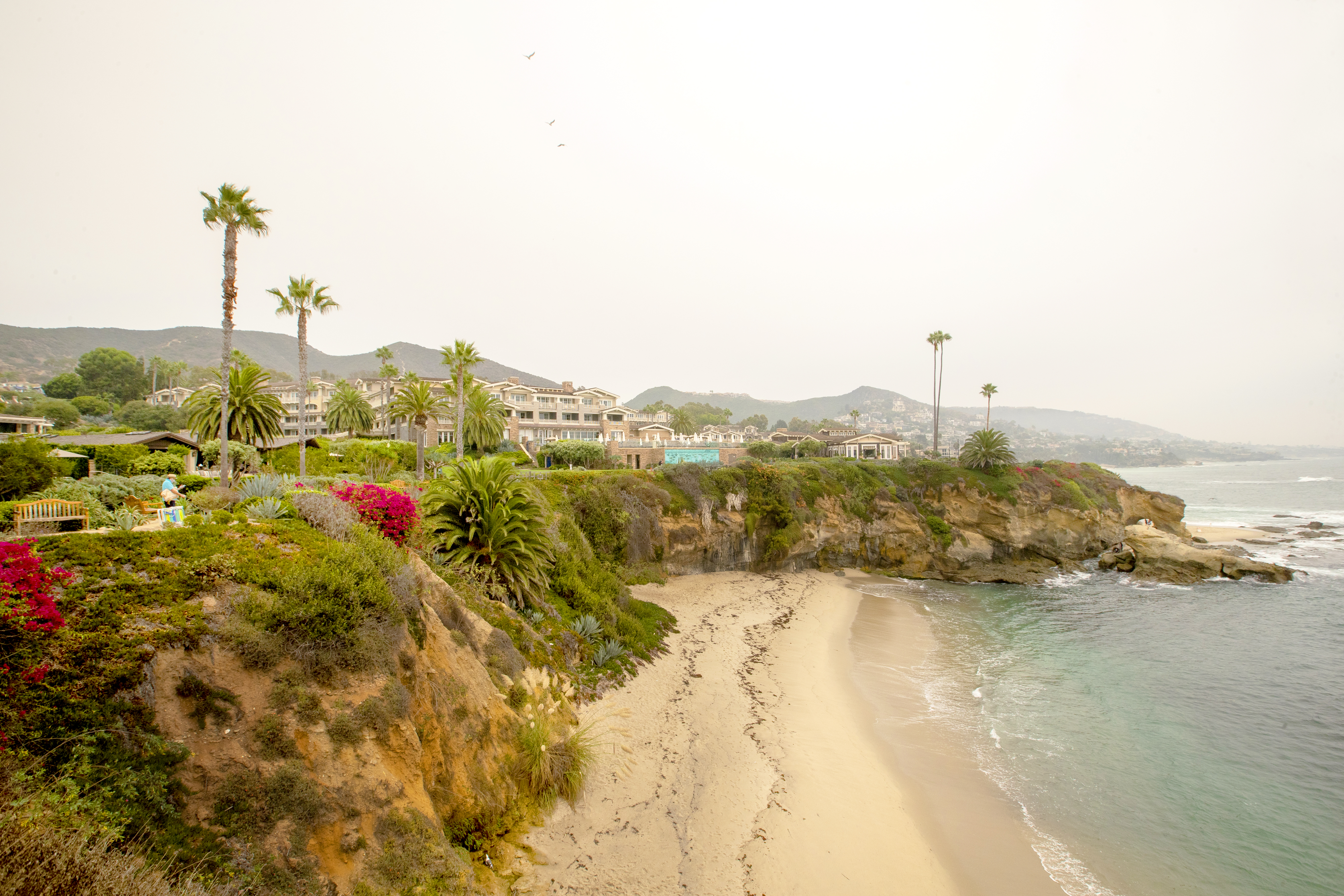 Orange County makes the 'honor roll' for beaches on Heal the Bay report - Vimarsana News