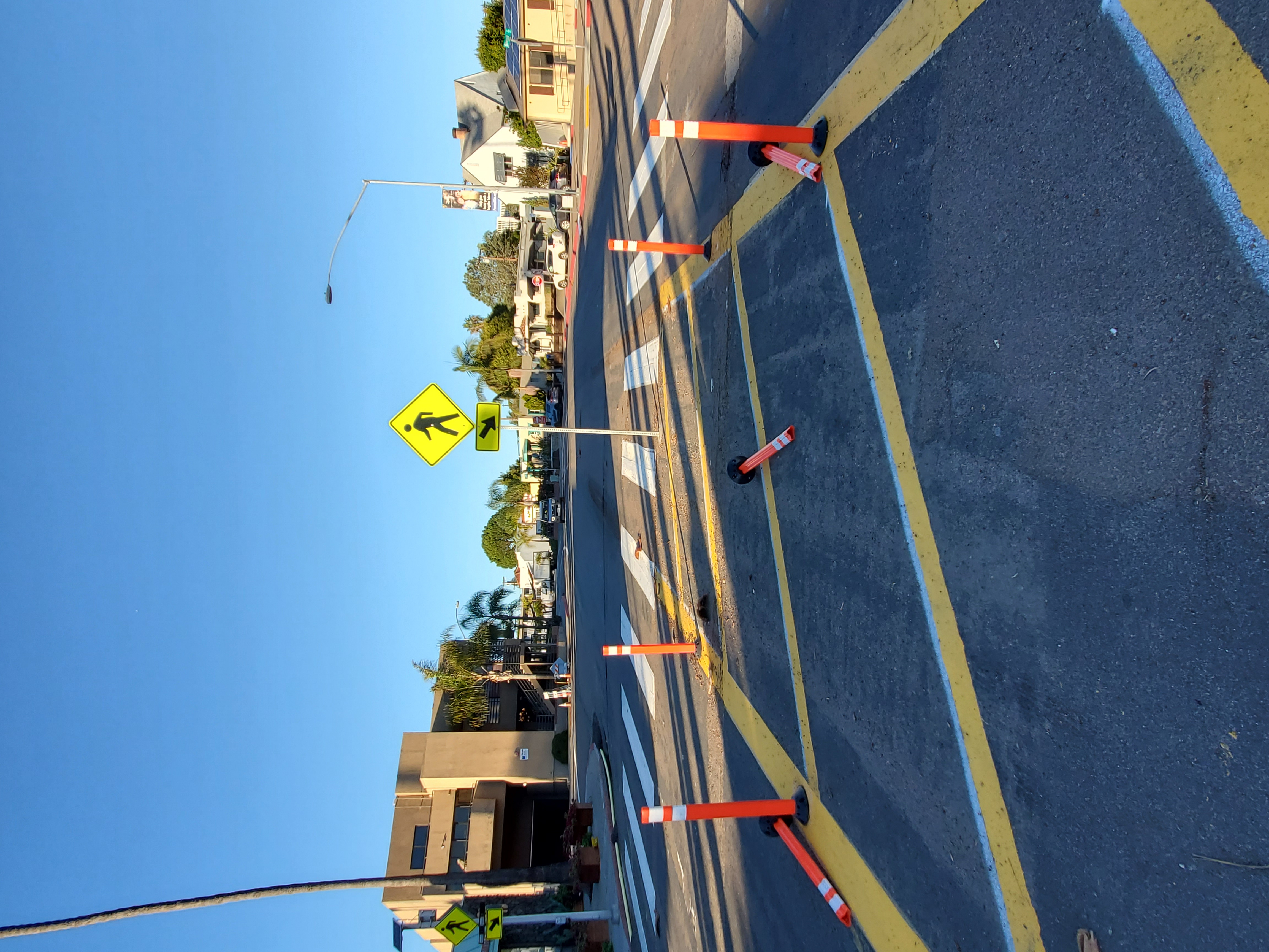 La Jolla News Nuggets: Pedestrian refuge; local scientists 'Highly Cited'; Birch Aquarium; new trees; more - Vimarsana News