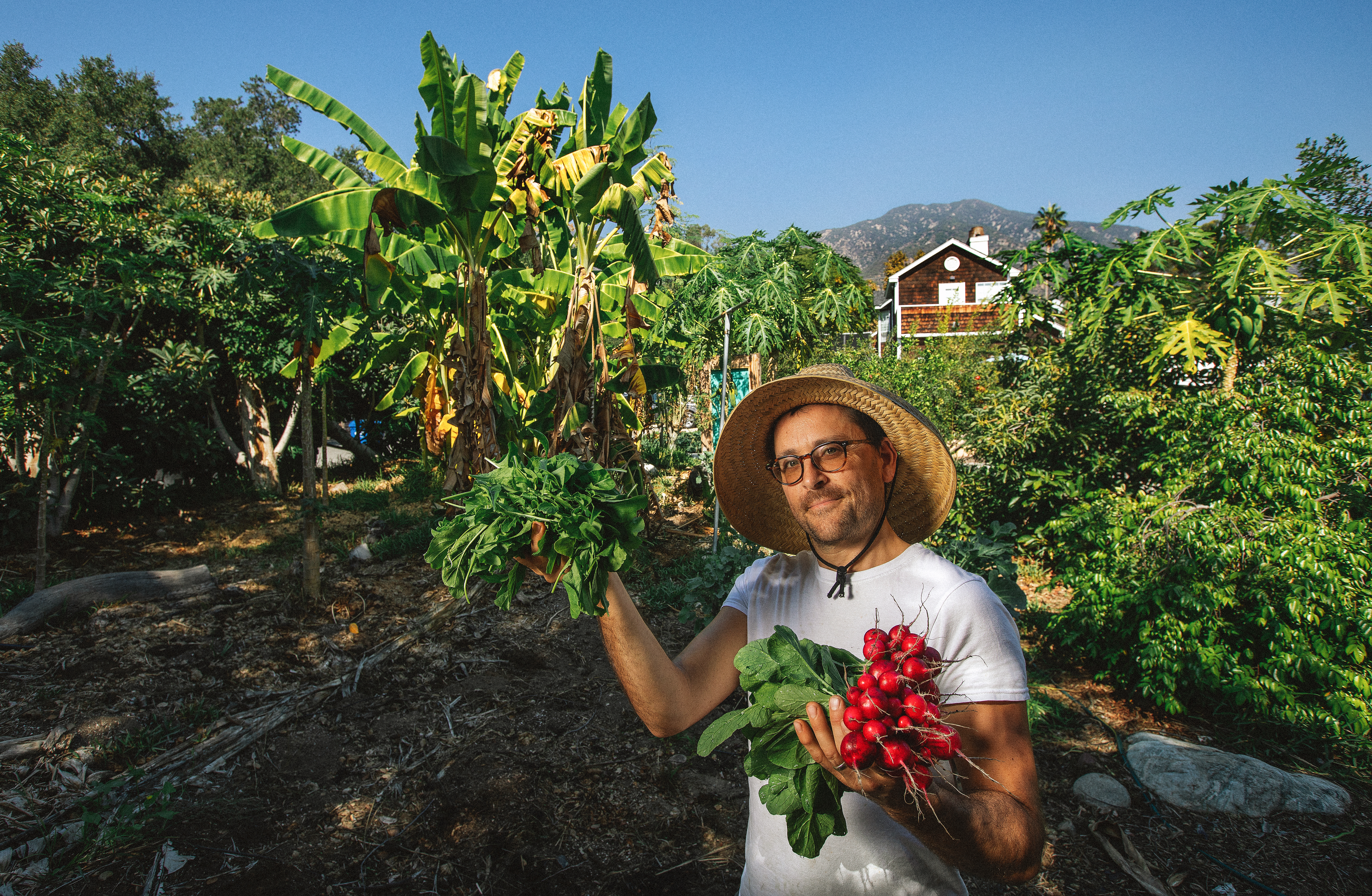 Low-water backyard farm goes all in on hydroponic lettuce - The San Diego Union-Tribune - Vimarsana News