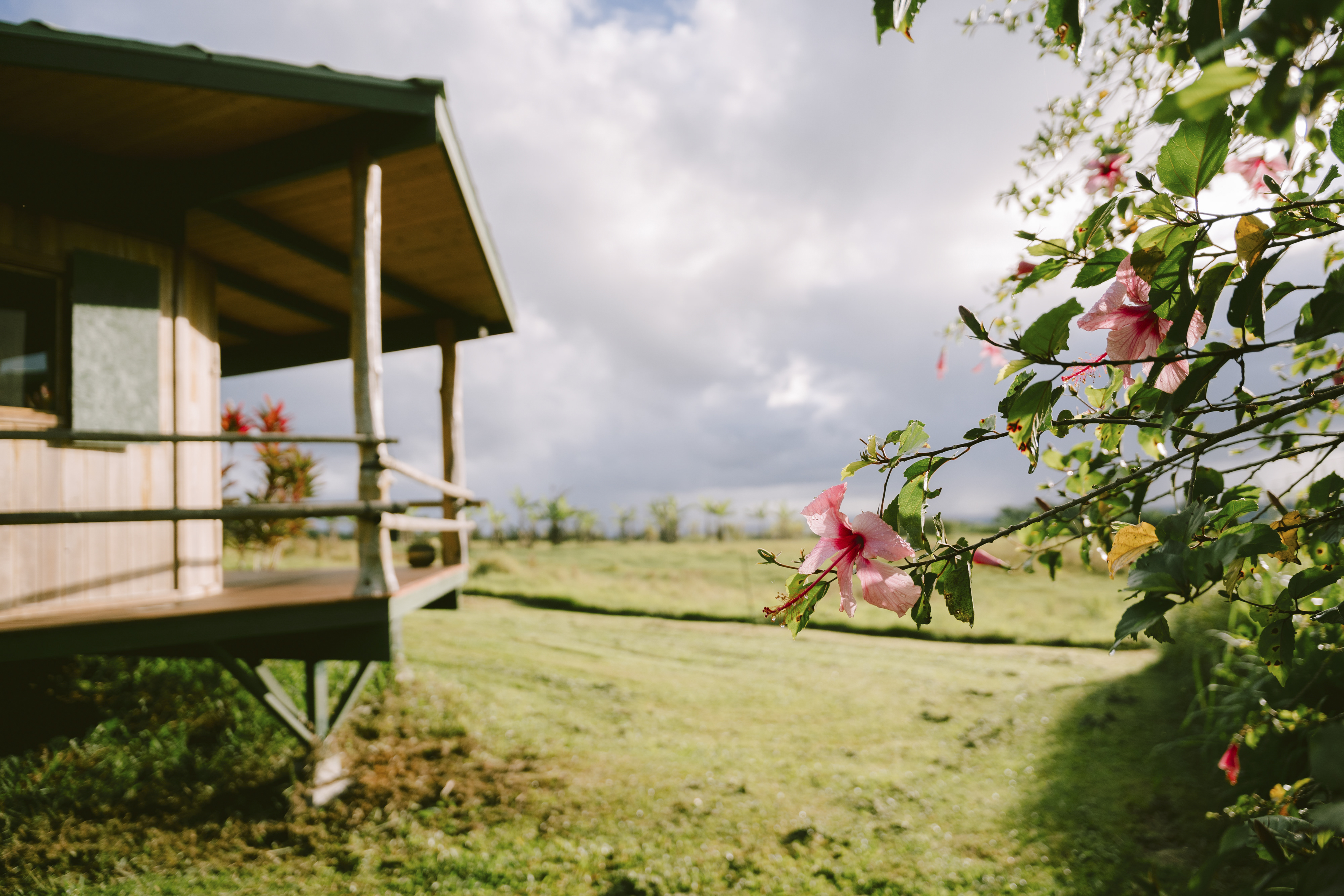 The beauty of Hawaii, focusing on respect for land, people - Vimarsana News