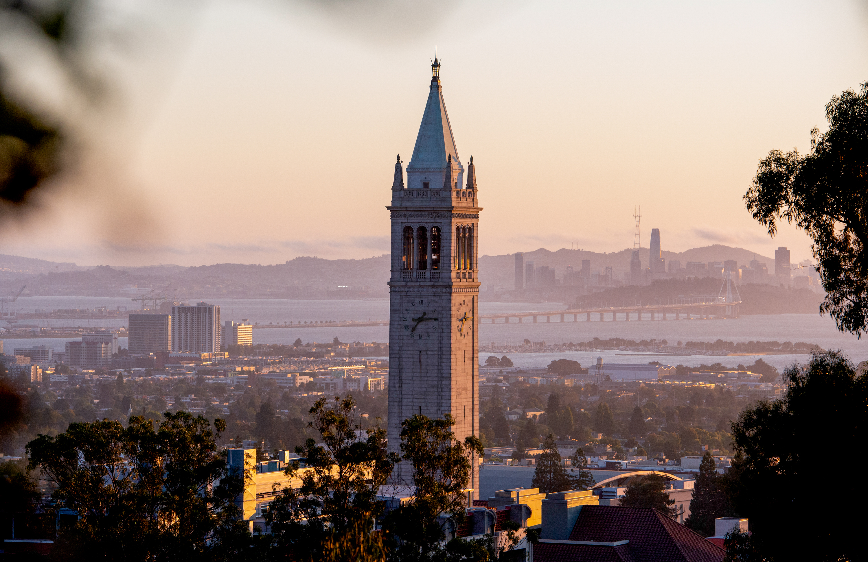 UC Berkeley locked down due to campus-wide threat - Vimarsana News