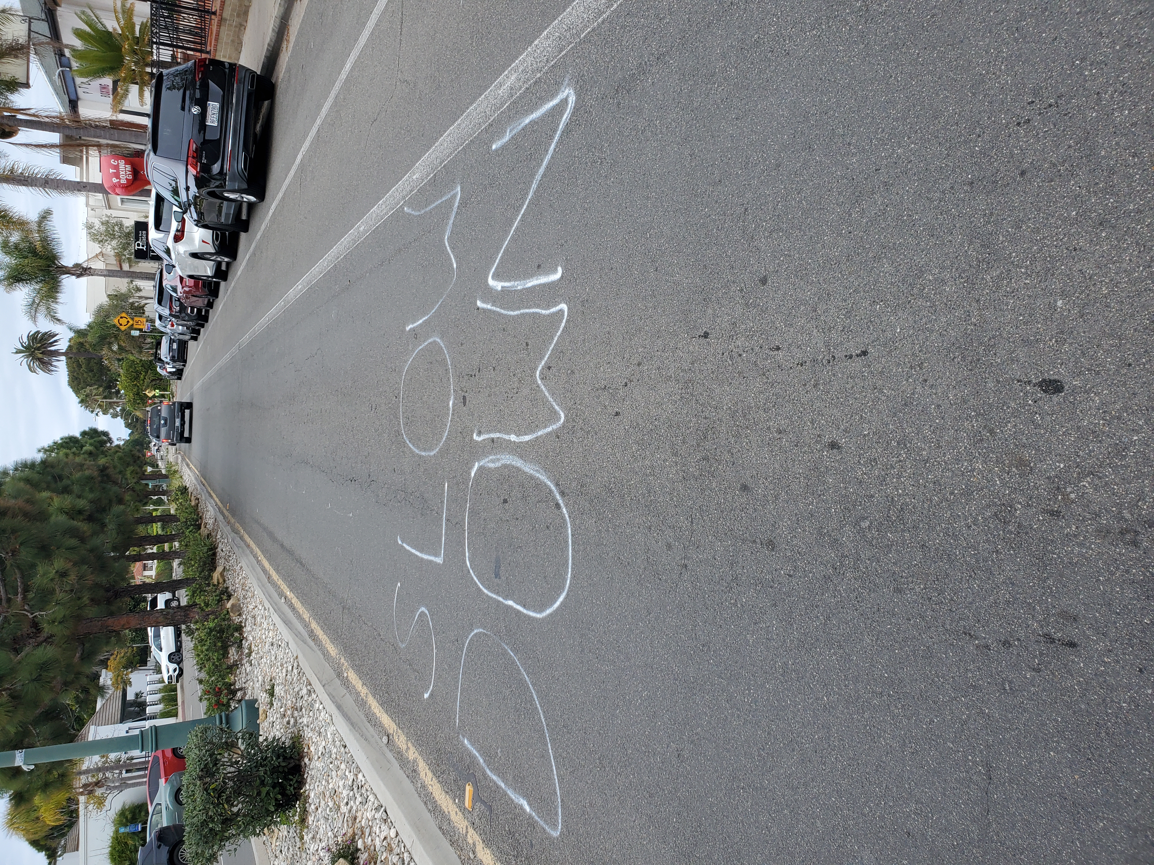 Suspect arrested in 'Slow down' street painting, but messages persist in chalk - Vimarsana News