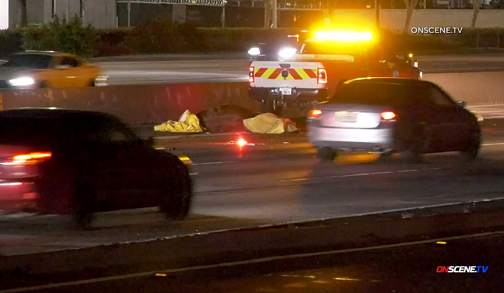Horse running on busy freeway killed near City of Industry - Vimarsana News