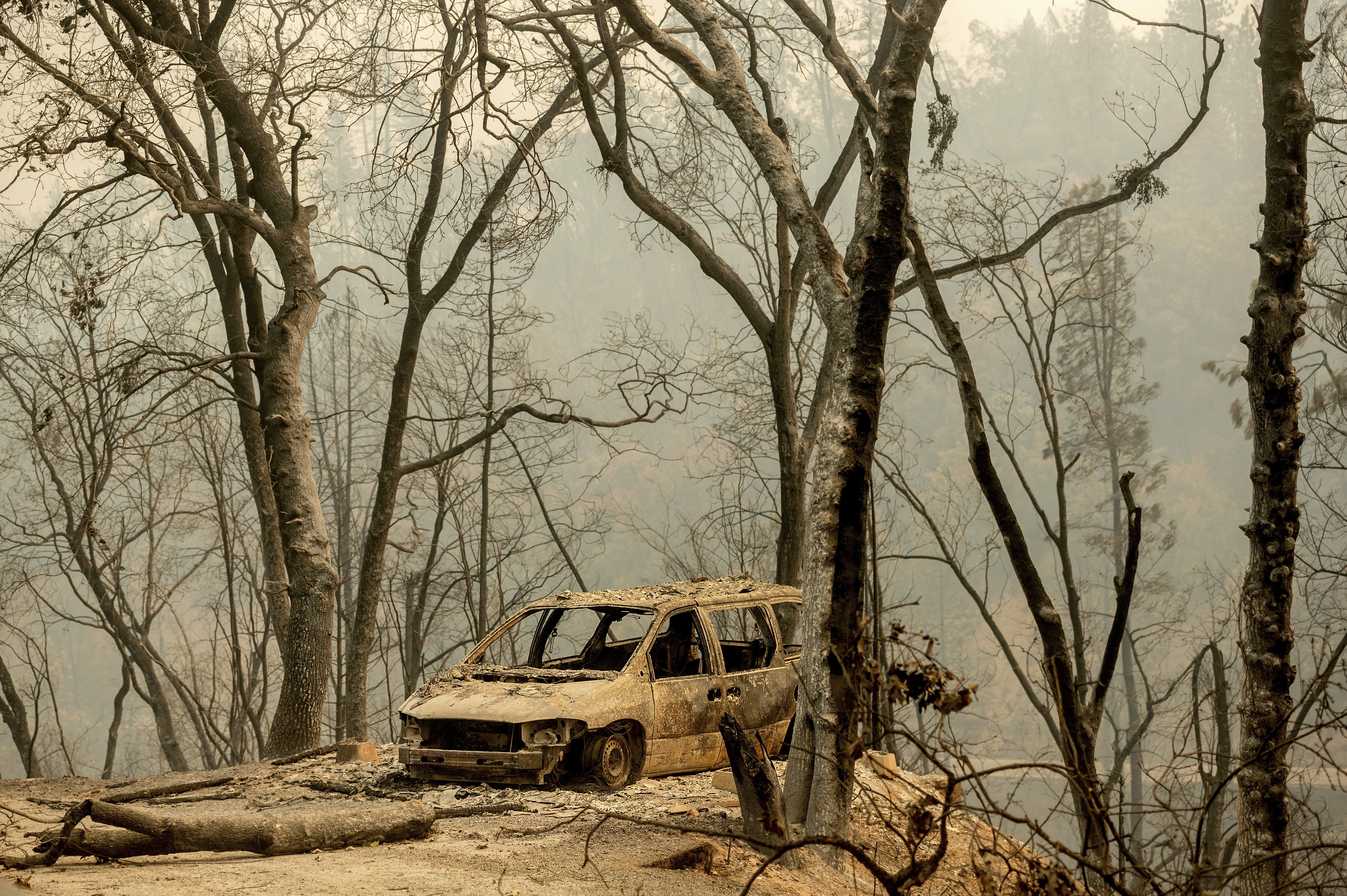 He had 10 minutes to flee the Salt fire. His home is gone - Vimarsana News