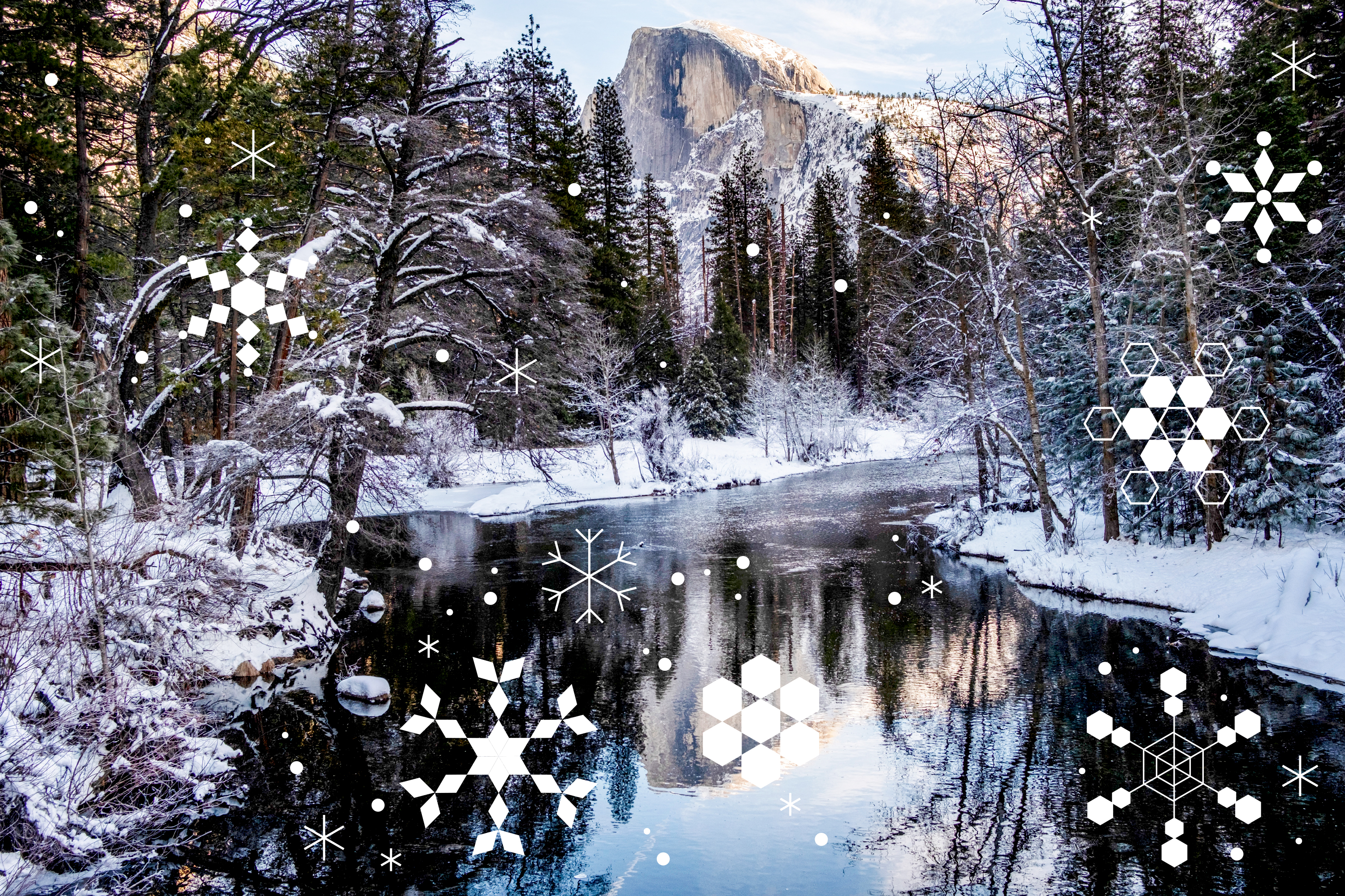 What to do in Yosemite, Joshua Tree, Sequoia and Kings Canyon National Parks - Vimarsana News