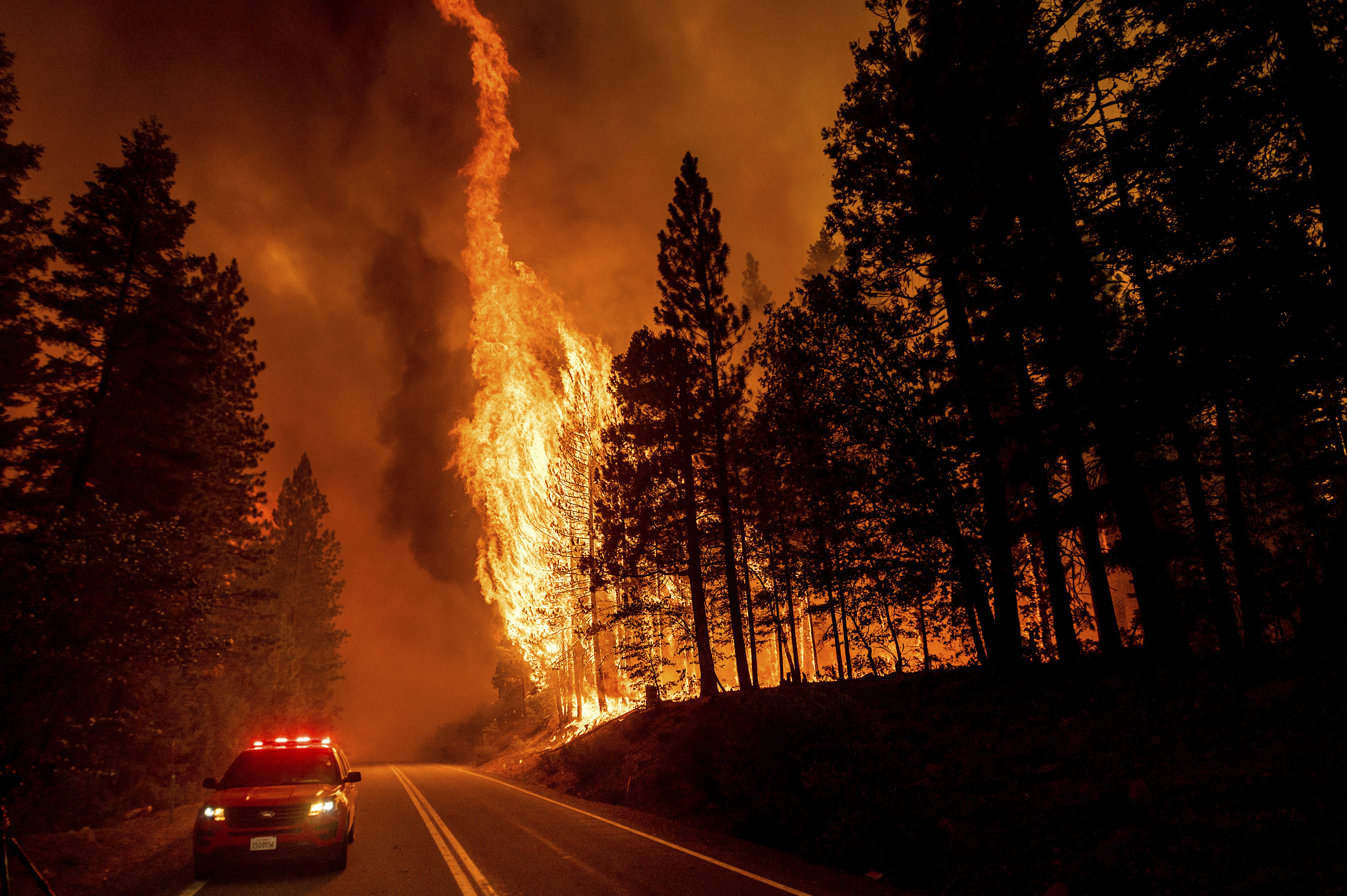 Is wildfire arson getting worse in California? - Vimarsana News
