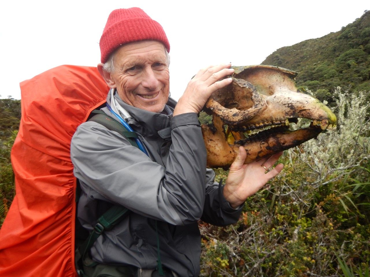 With COVID-19 at bay, San Diego scientists will fan out for busiest field research season in years - Vimarsana News