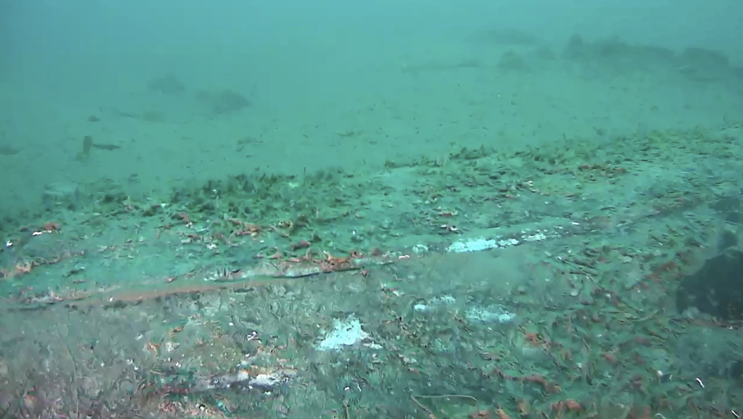 Video shows pipeline responsible for California oil spill - Vimarsana News