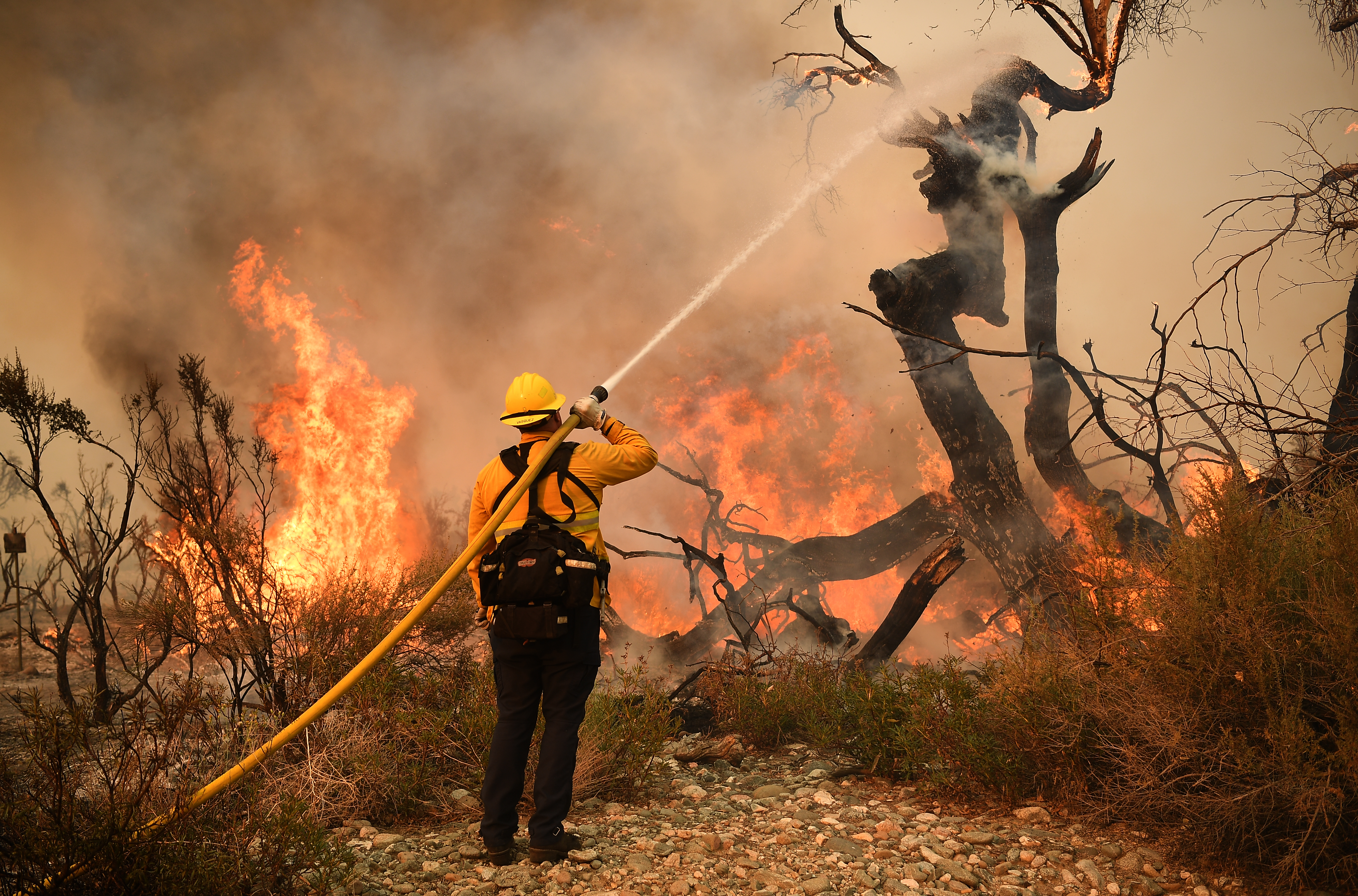 Why climate journalism needs to give readers hope - Vimarsana News