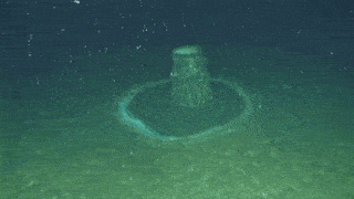 Today's Headlines: Previous DDT ocean dumping in L.A. worse than expected - Vimarsana News