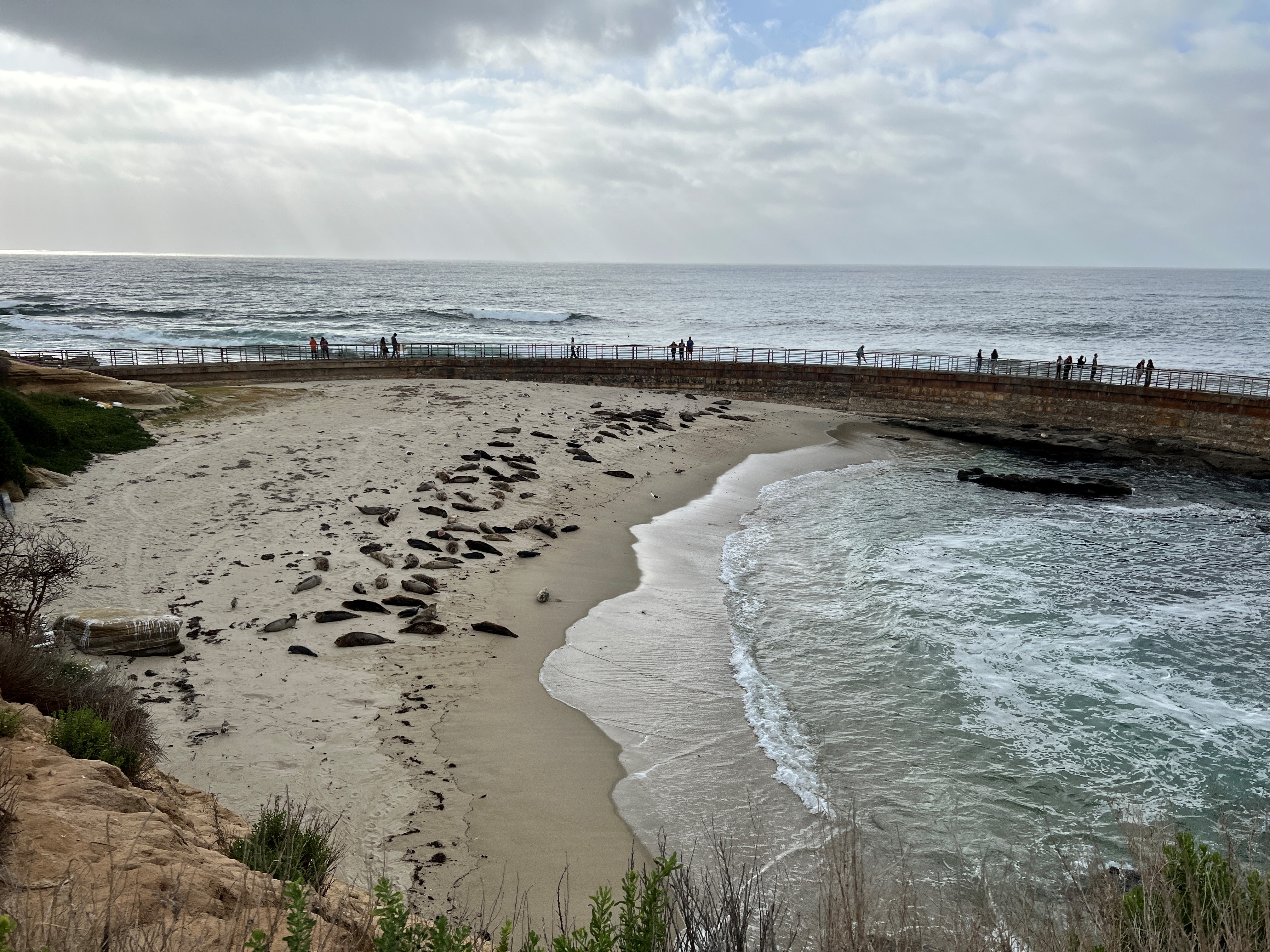La Jolla submits Children's Pool structural report and awaits word on sought-after repairs to seawall - Vimarsana News