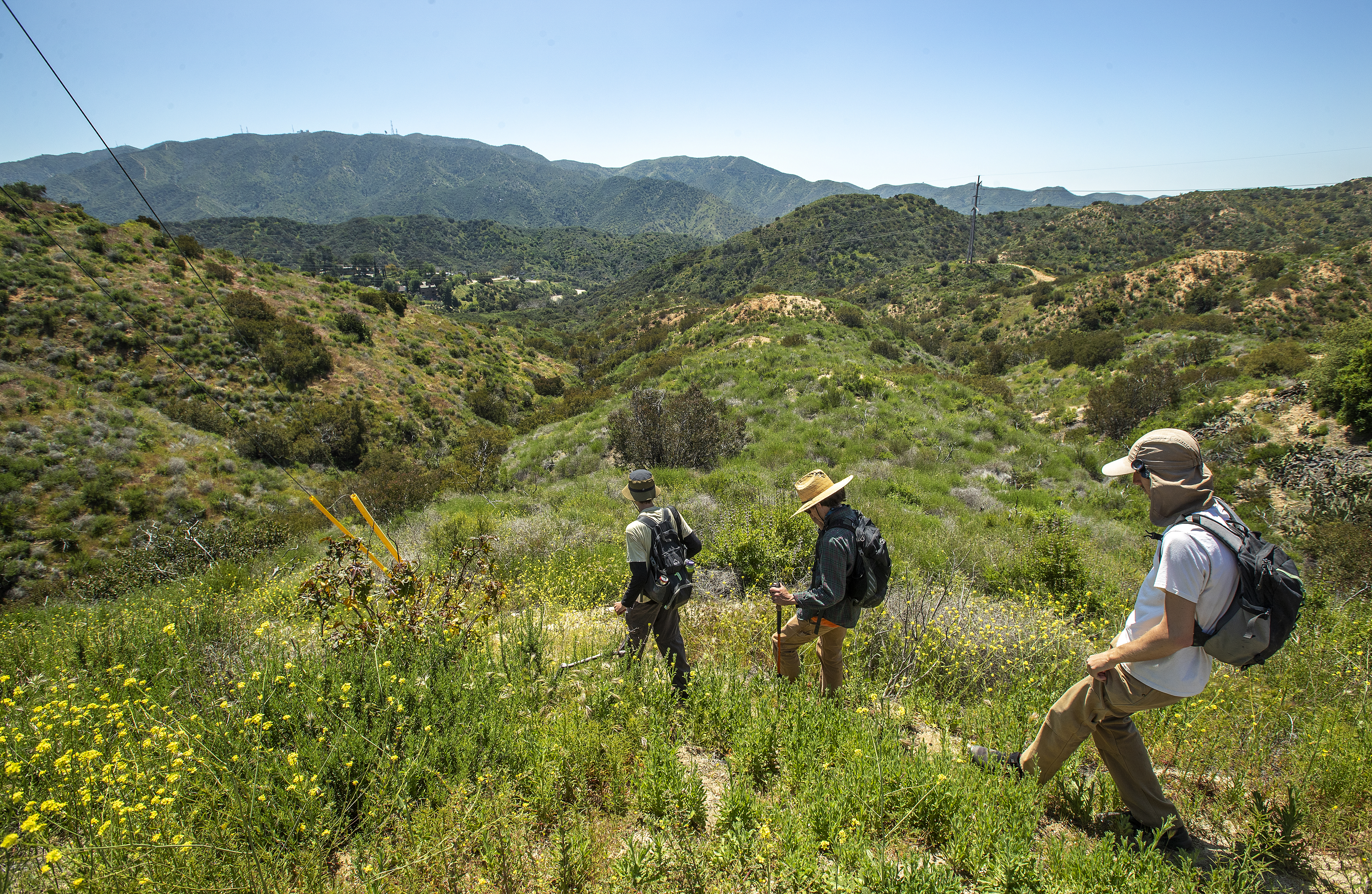Proposed Verdugo Mountains development sparks worry - Vimarsana News
