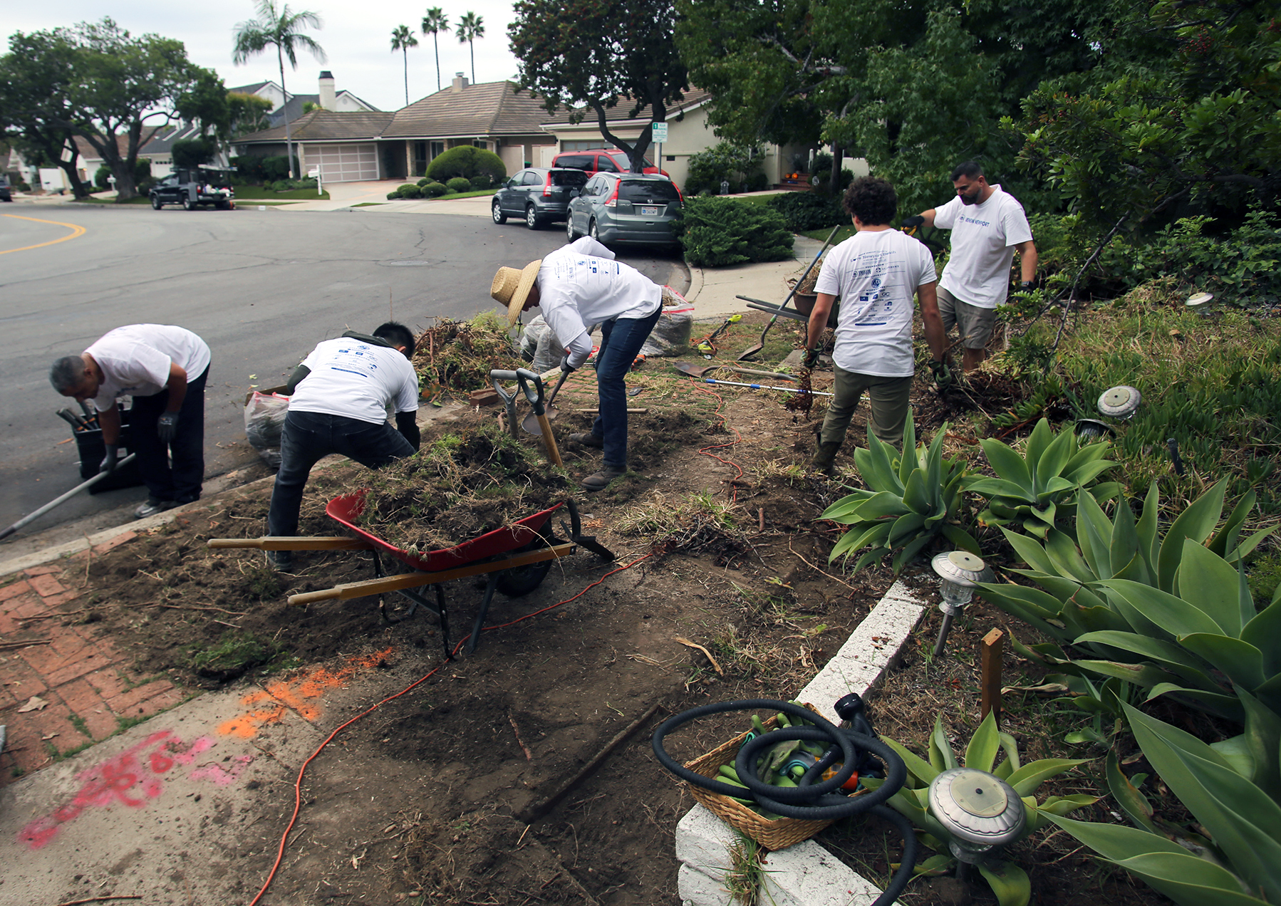 Inaugural Love Newport Beach Day sees volunteers all over the city - Vimarsana News