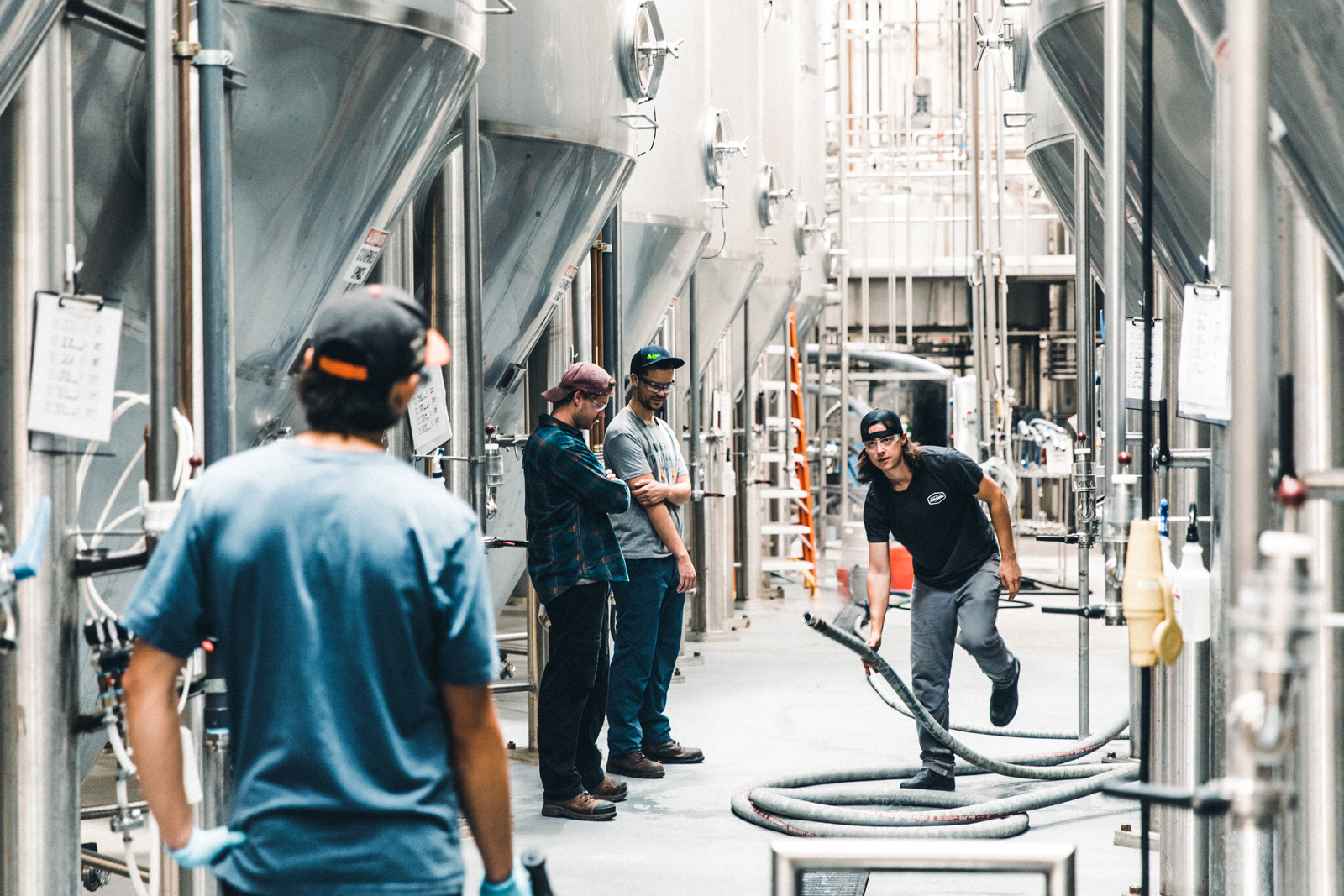 Brewery Rowe: Athletic Brewing celebrating a dry-ish January with its (mostly) non-alcoholic beers - Vimarsana News