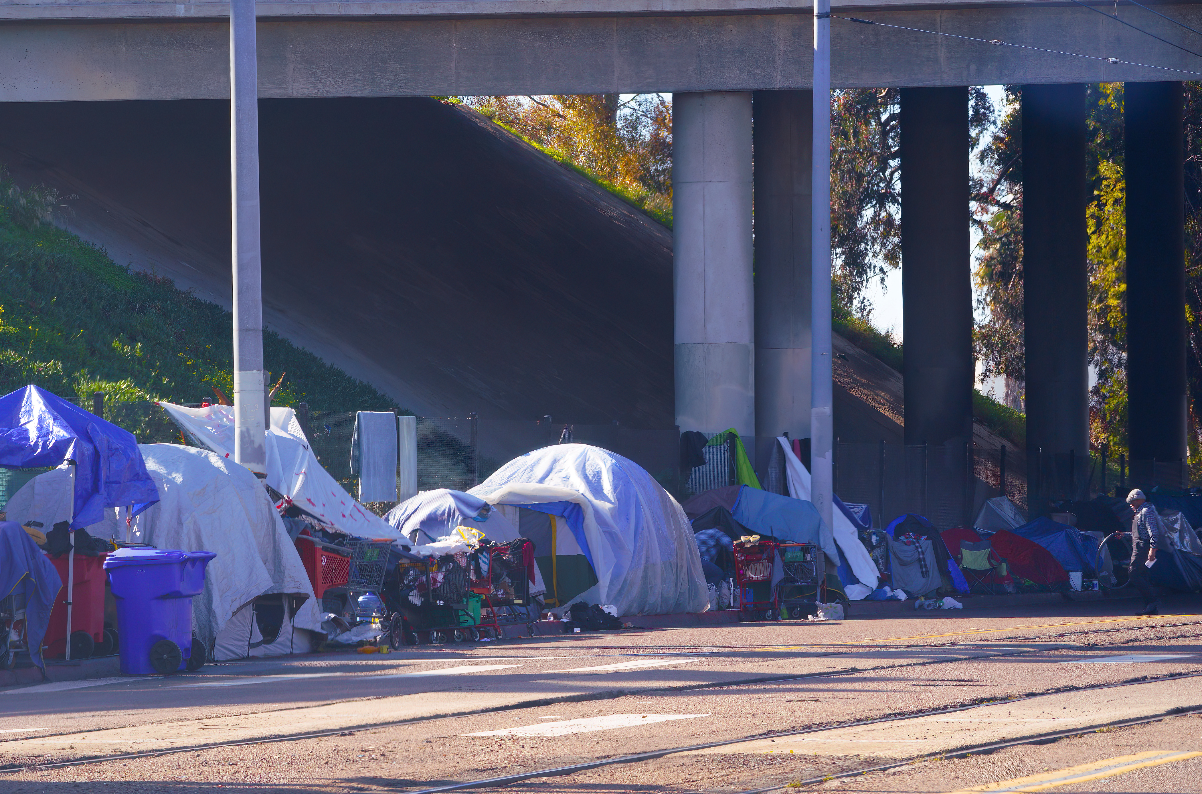 'Our hands are tied.' Incidents of homeless violence raise concerns - Vimarsana News