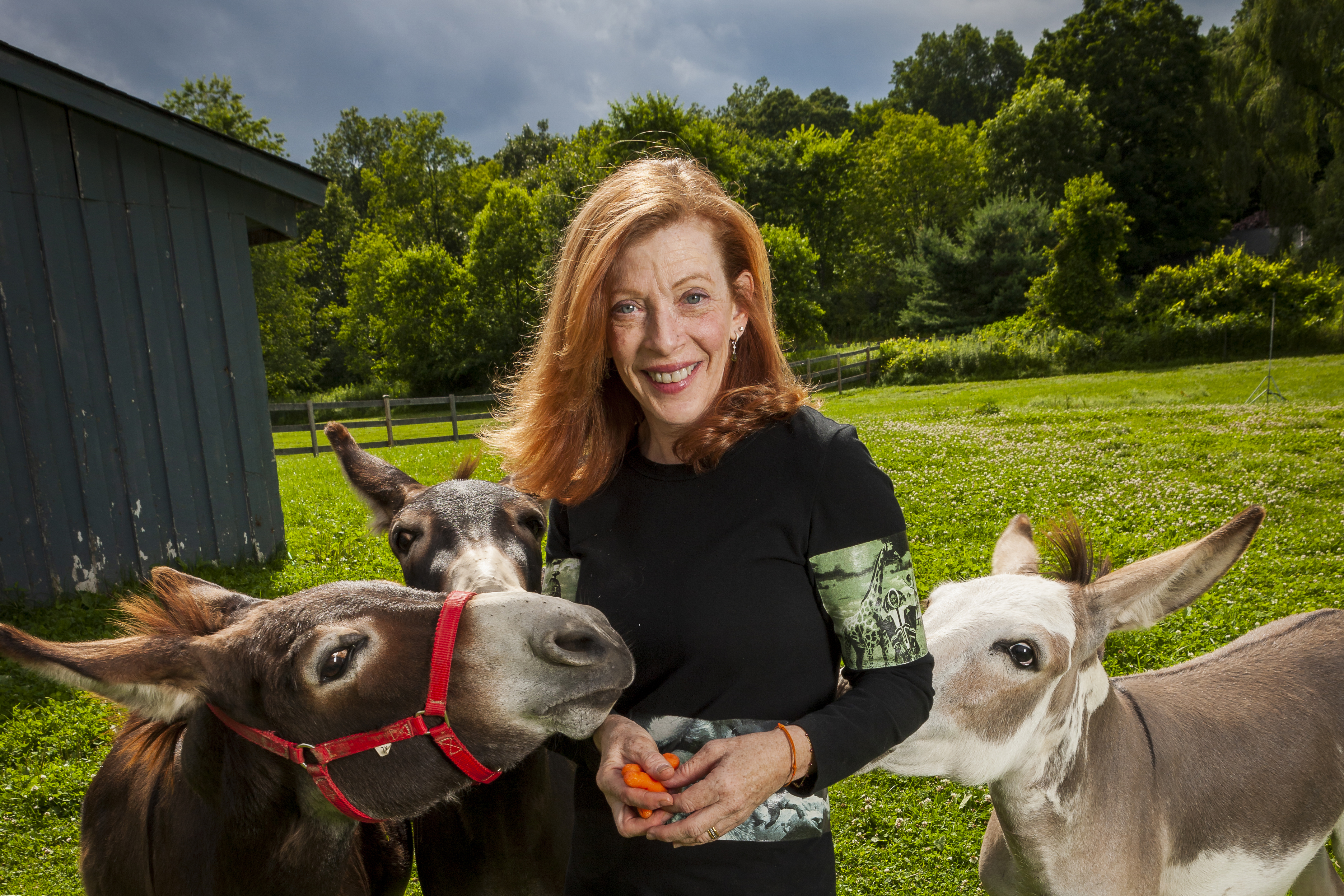 Susan Orlean's 'On Animals,' collected stories on human bond - Vimarsana News