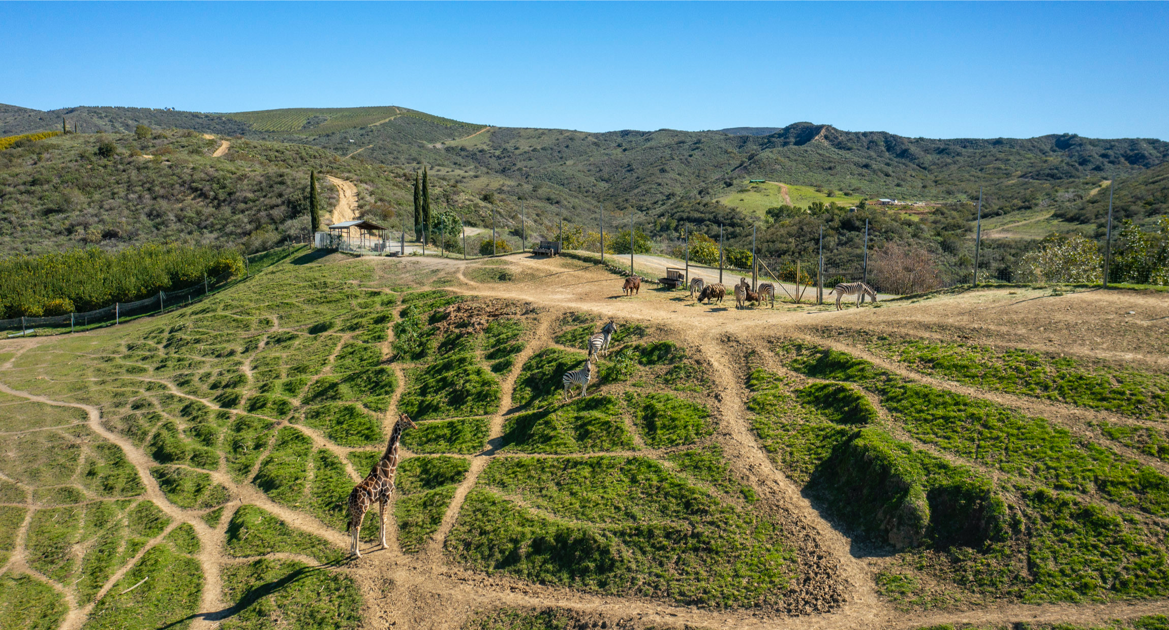 Herbalife's Dick Marconi lists animal-filled retreat for $23 million - Vimarsana News