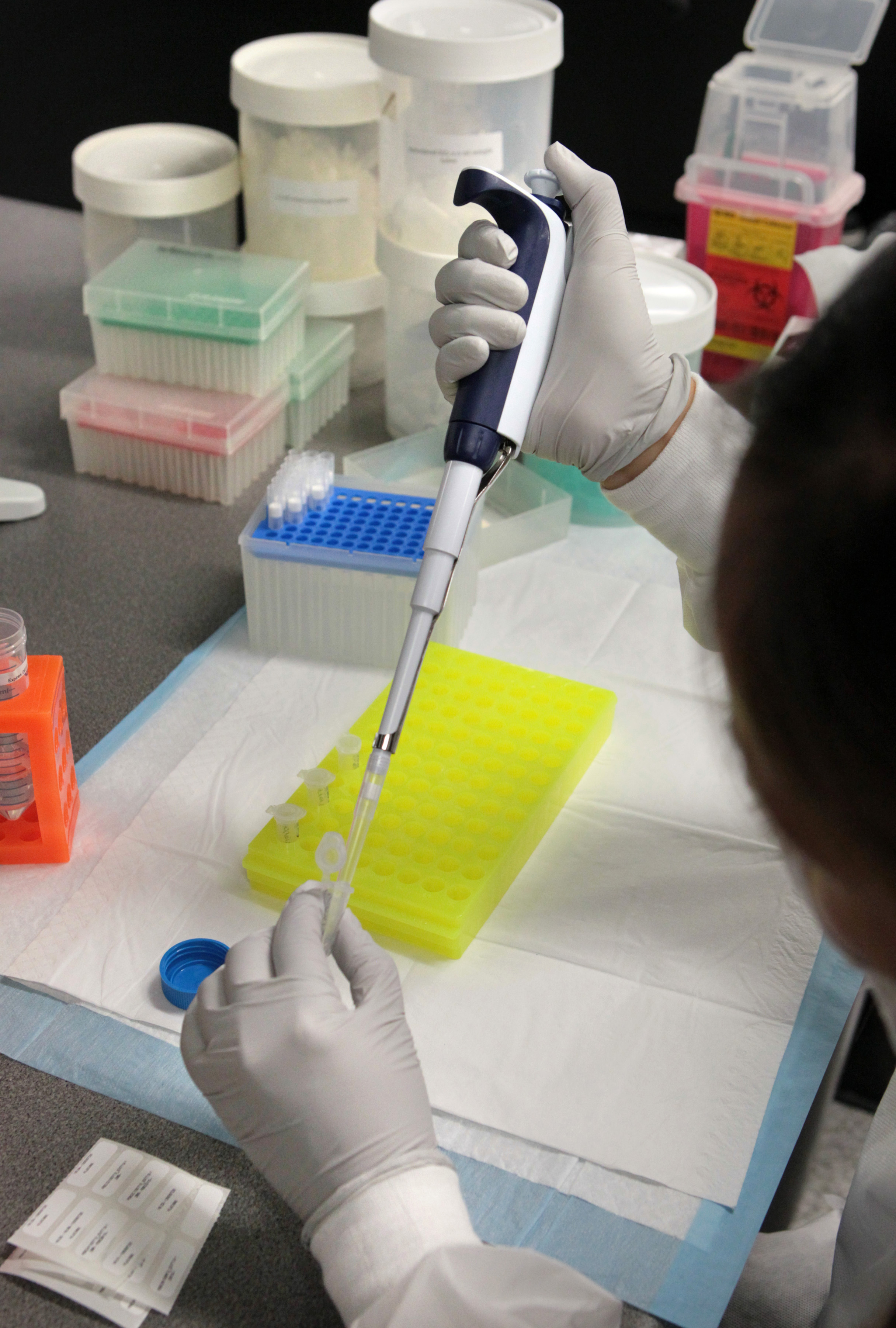 Audits, internal documents show problems with security, test errors at San Diego crime lab - Vimarsana News